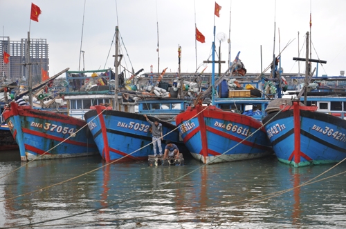 Dân chài Thọ Quang sắt son với biển